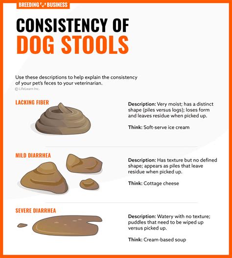 puppy poop soft all tests negative|8 Causes of Soft Dog Poop (and Ways to Firm it Up).